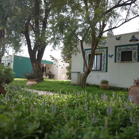 Amiad Joseph Well Country Inn Экстерьер фото