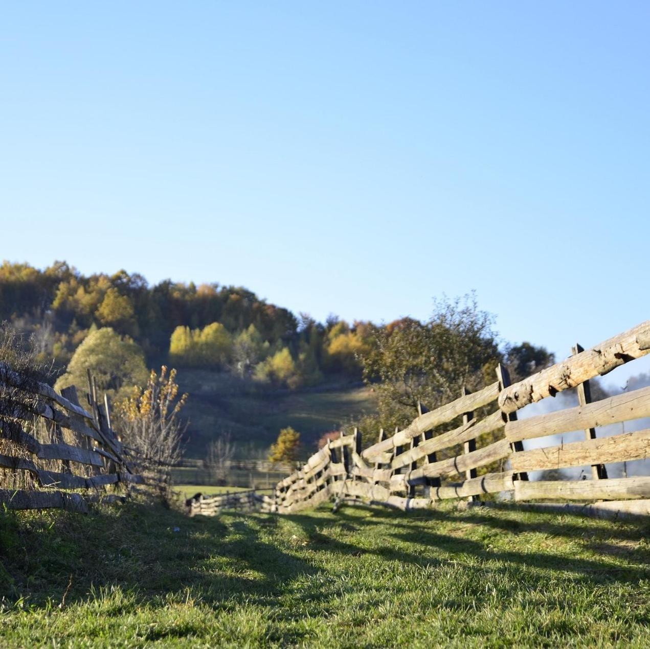 Amiad Joseph Well Country Inn Экстерьер фото